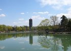 Shadow of the tower